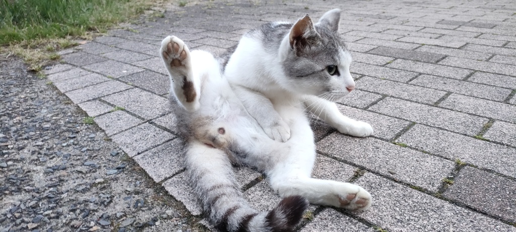 大開脚