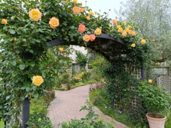 薔薇の園への入口