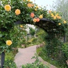 薔薇の園への入口