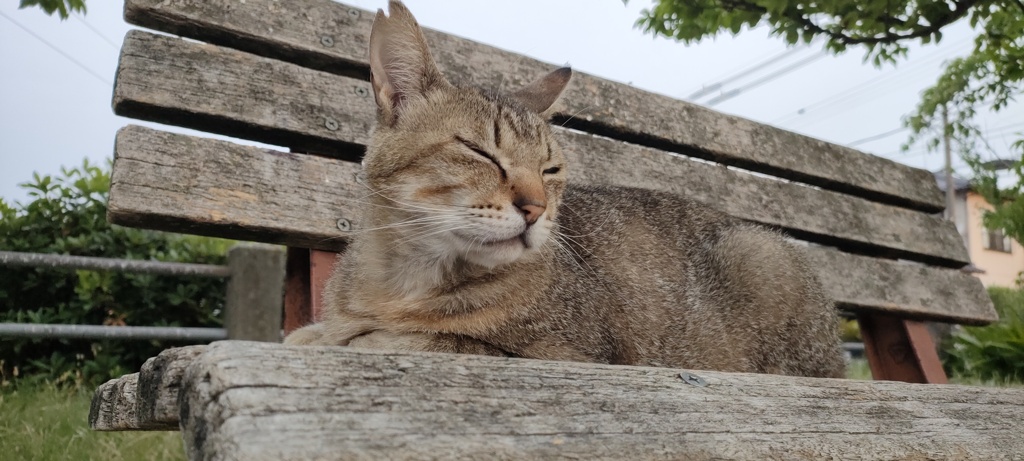 Zzzzzzz