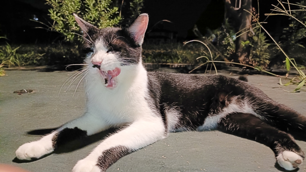 忘れがたき、あの味