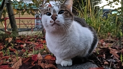 ん？