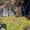 白糸の滝③