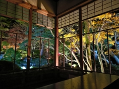 2025・秋。和を楽しむひととき