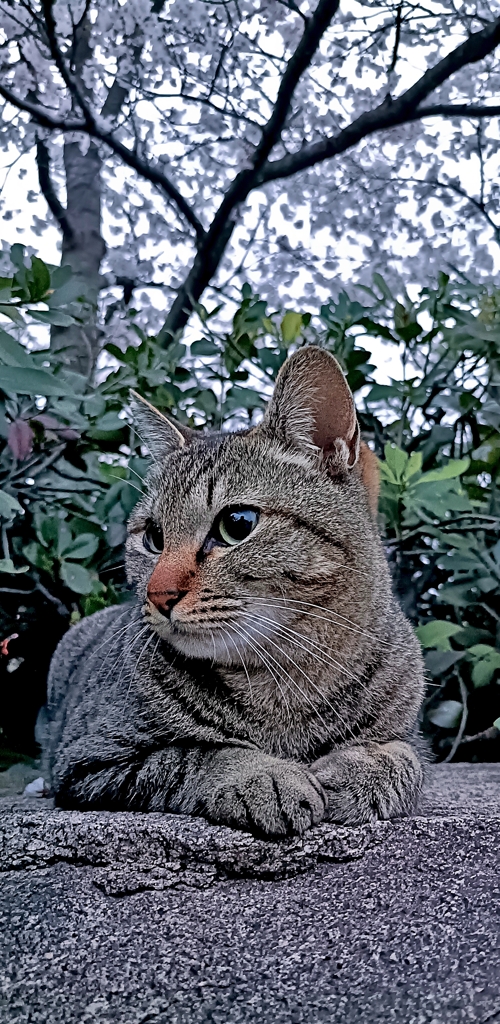 休憩入りま〜す。