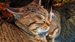 温もり