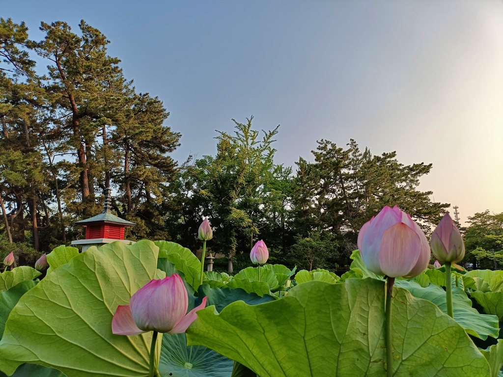 七夕まつり・おまけ