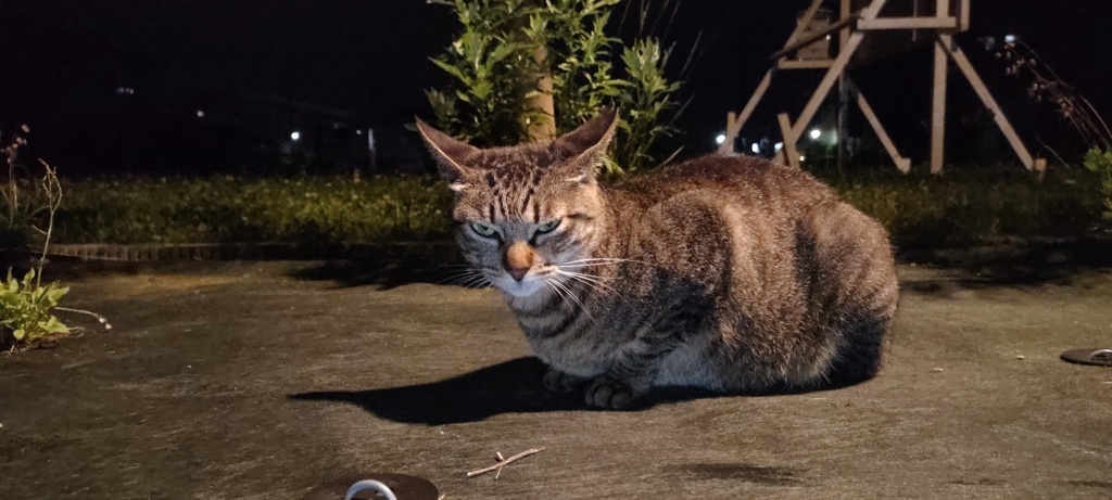 キレてませんよ？