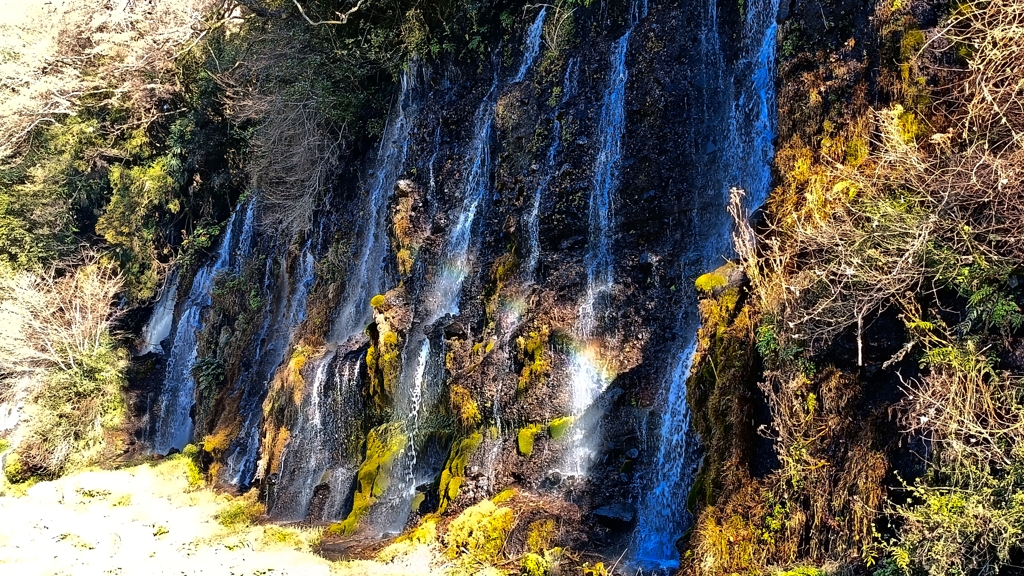 白糸の滝②