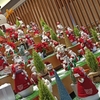 ひな人形。クリスマスVer