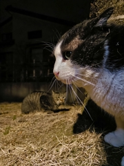 びみょ〜な空気感
