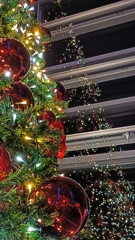 実と虚のクリスマスツリー