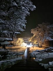 新潟の年末年始。冬の御寺