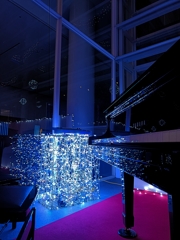 新潟のクリスマス。＋α