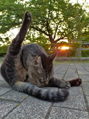 おはようっ！！