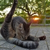おはようっ！！