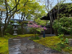 燕喜館