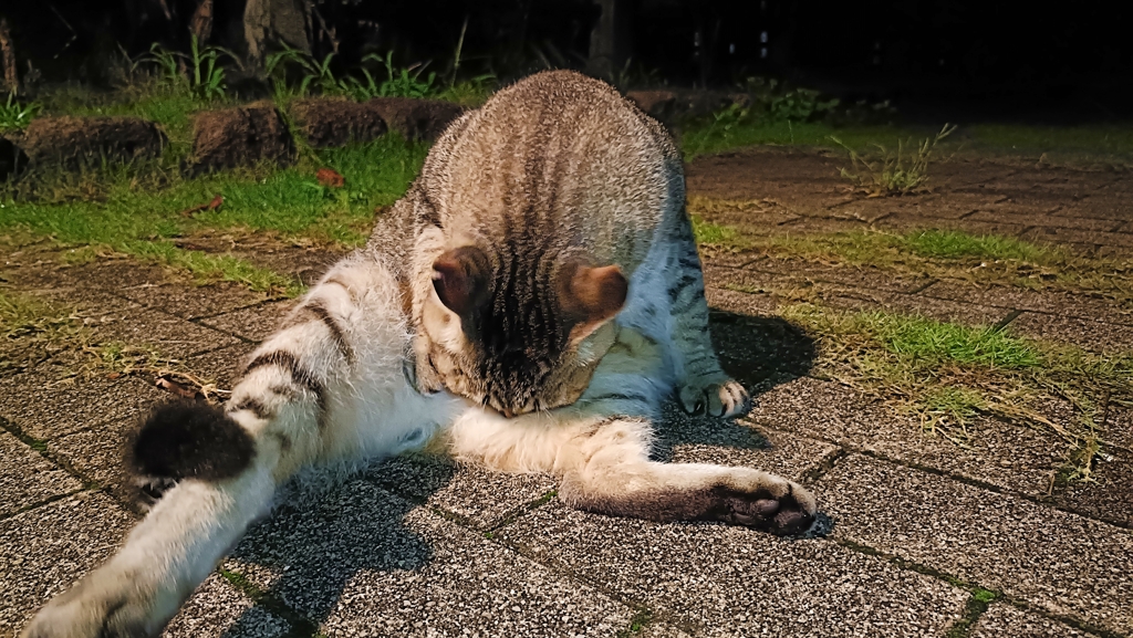 ペロペロぺろ