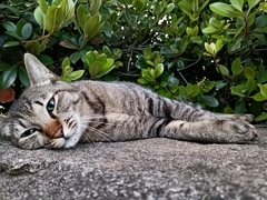 5月病