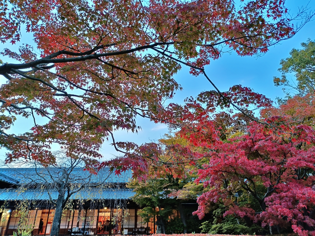 新潟の秋。燕喜館