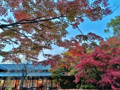 新潟の秋。燕喜館