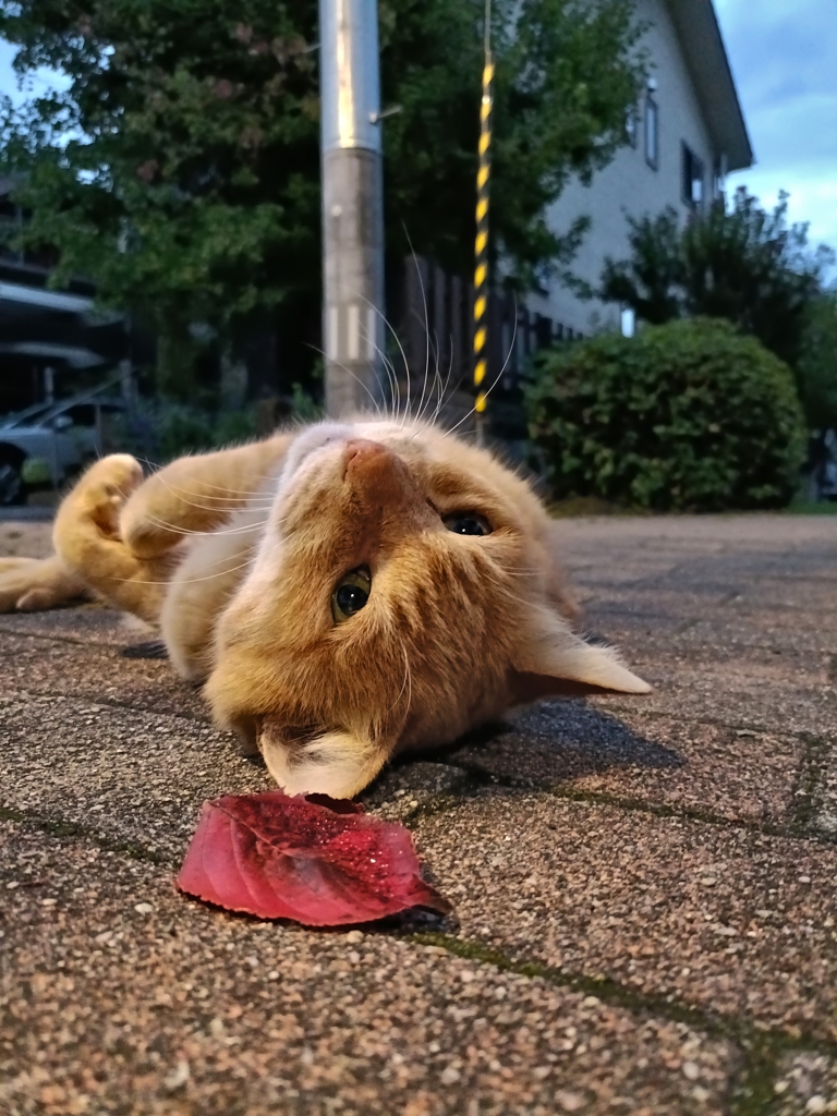 秋は直ぐ側に