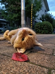 秋は直ぐ側に