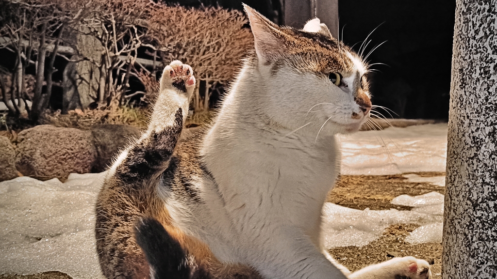 よっ！