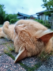 大地がふとん。空が屋根。