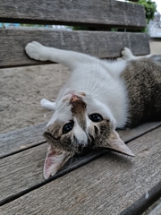 カリカリカリッ。あっ見付かった！！