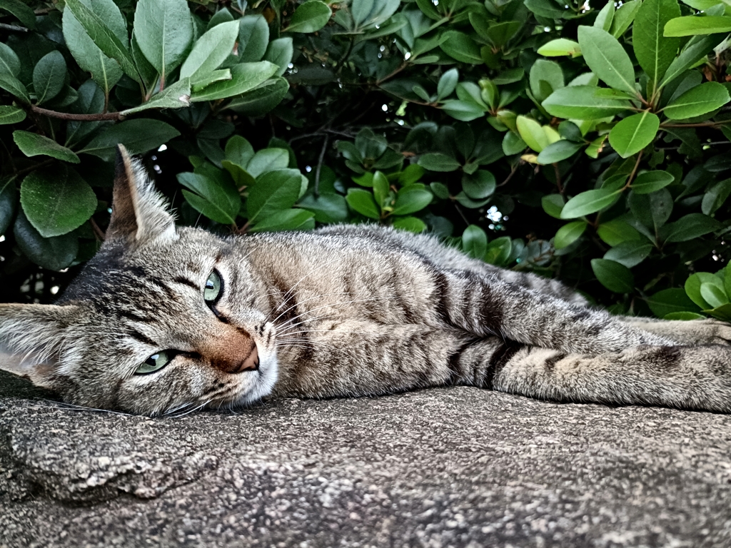 妻に怒られた旦那