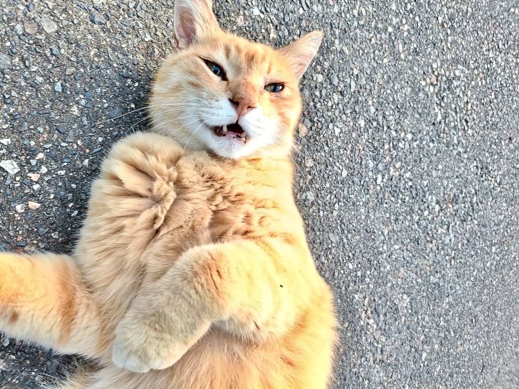 う〜ん。朝・・・・？