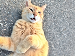 う〜ん。朝・・・・？