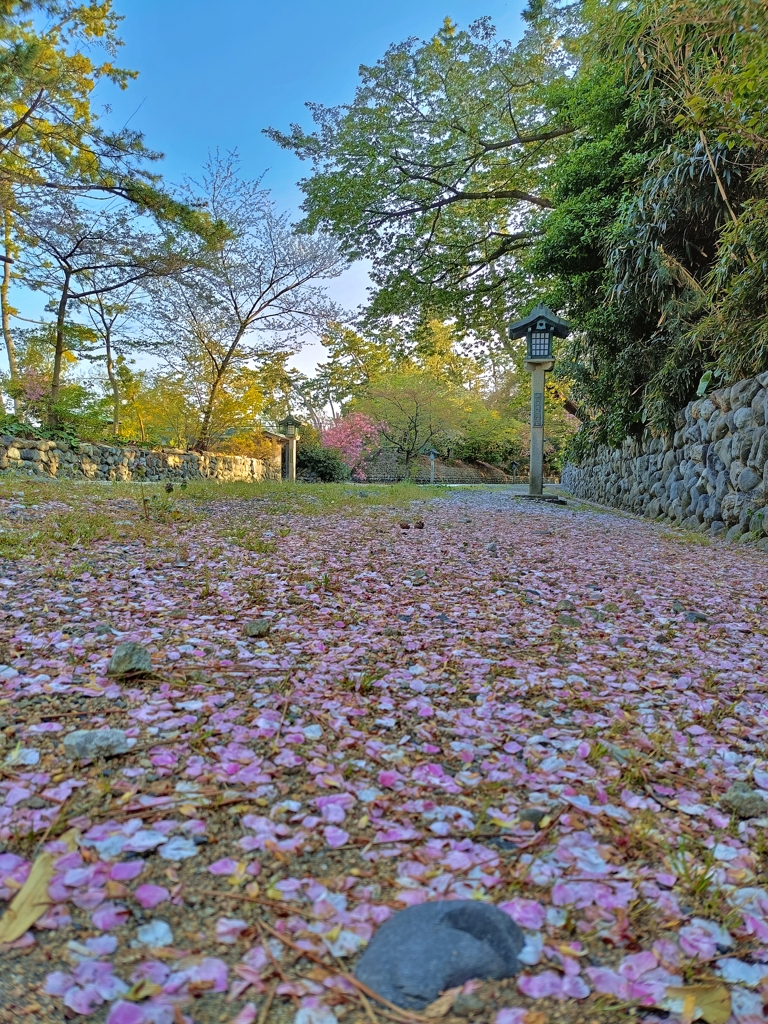 春の精霊。またね！新潟。