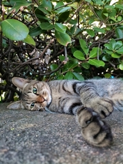 ダラ〜で終わる休日