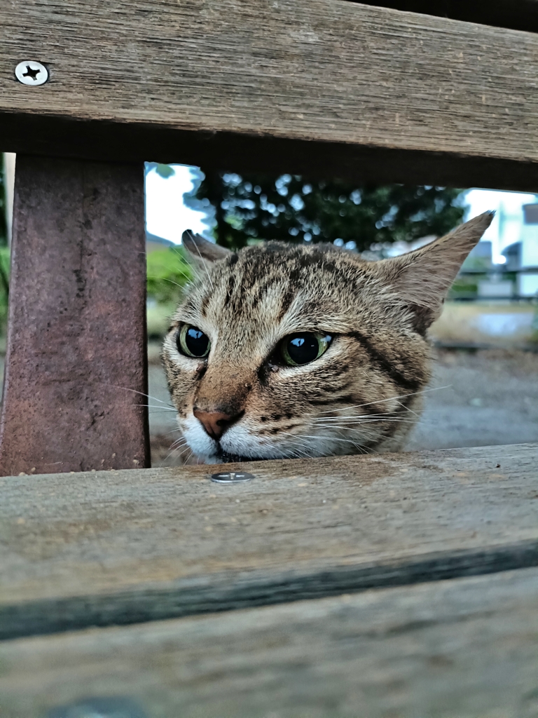 ユーはどうしてそんなところから？