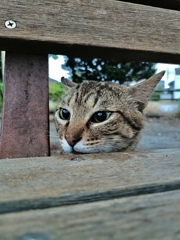 ユーはどうしてそんなところから？