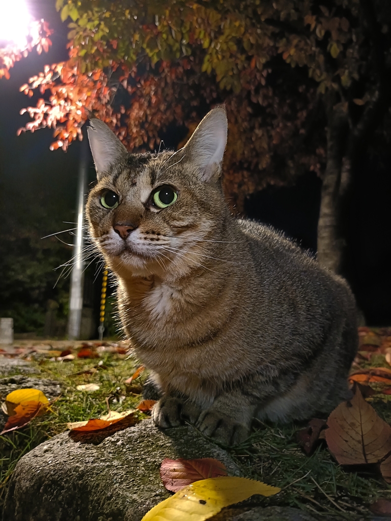 半年？ぶりの再会