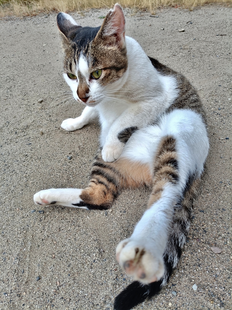 足上げダイエット