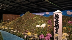 菊祭り③