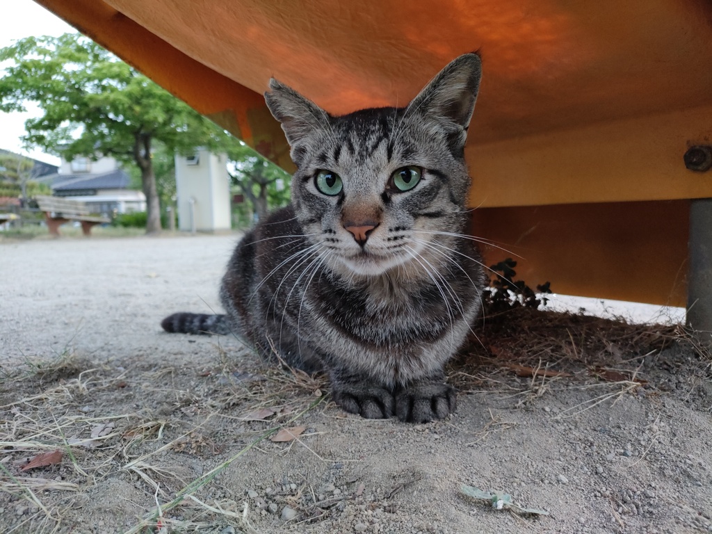 うん？