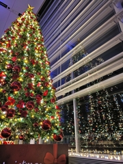 新潟のクリスマス。向こう側のクリスマスツリー