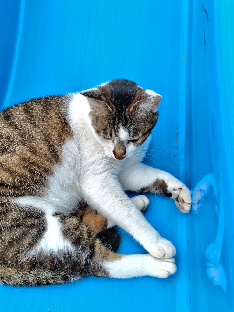 落ち着く幅？