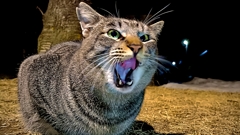 ぎゃぁぁぁぁぁ！！！