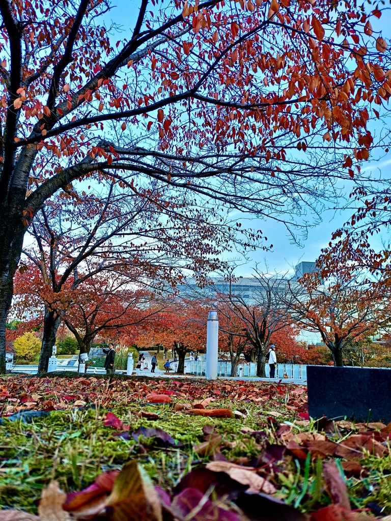 新潟の秋・秋空