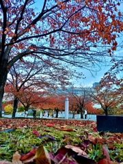 新潟の秋・秋空