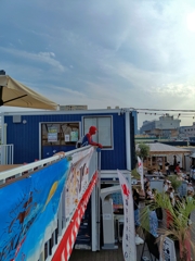平和って良いなぁ・・・・。