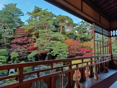 旧齋藤家別邸。春夏秋冬を肴に2階から。