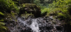 自然を浴びて