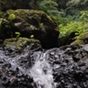 自然を浴びて